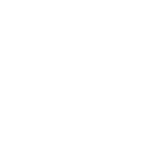 Audio Visual icon