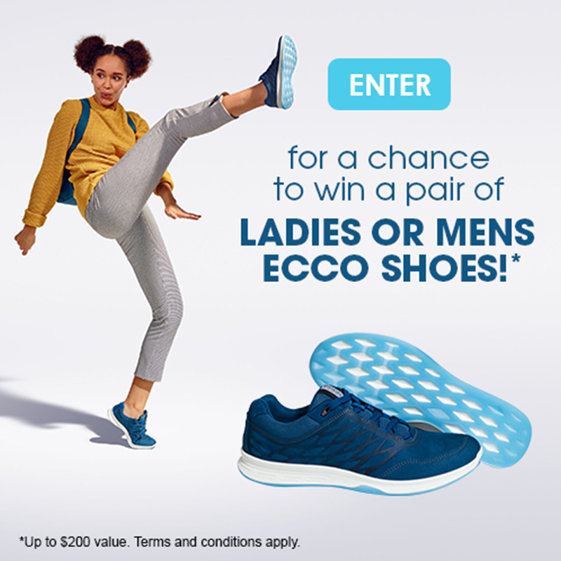 Rationel gateway Til ære for Becker Shoes ECCO Contest: Facebook Advertising — Avenue A Advertising